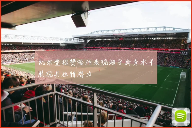 凯尔登称赞哈珀表现超乎新秀水平展现其独特潜力