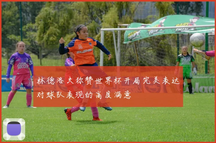 林德洛夫称赞世界杯开局完美表达对球队表现的高度满意